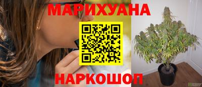 ECSTASY Ливны