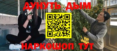 шишки Лесосибирск