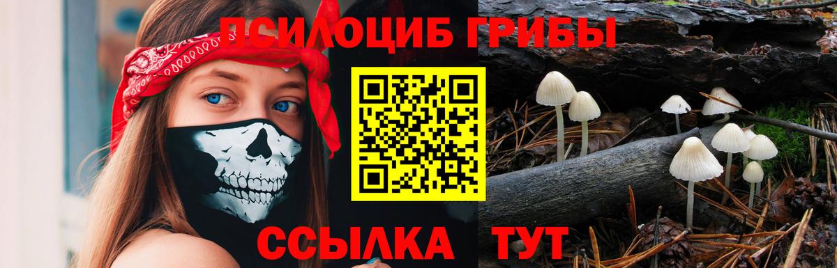 Галлюциногенные грибы Magic Shrooms Тельмана