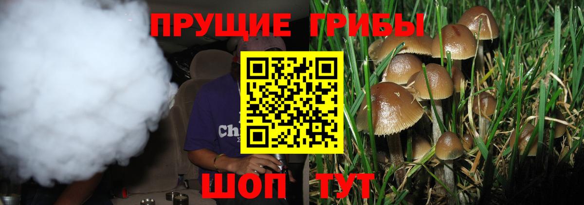 Тельмана  где найти   Вход с VPN  Псилоцибиновые грибы MAGIC MUSHROOMS 